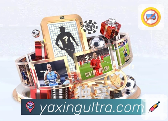 亚星官网APP 封面图