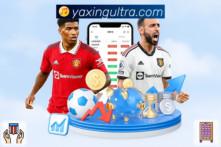 数据展示认证展示图